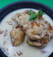 Ayam Opor